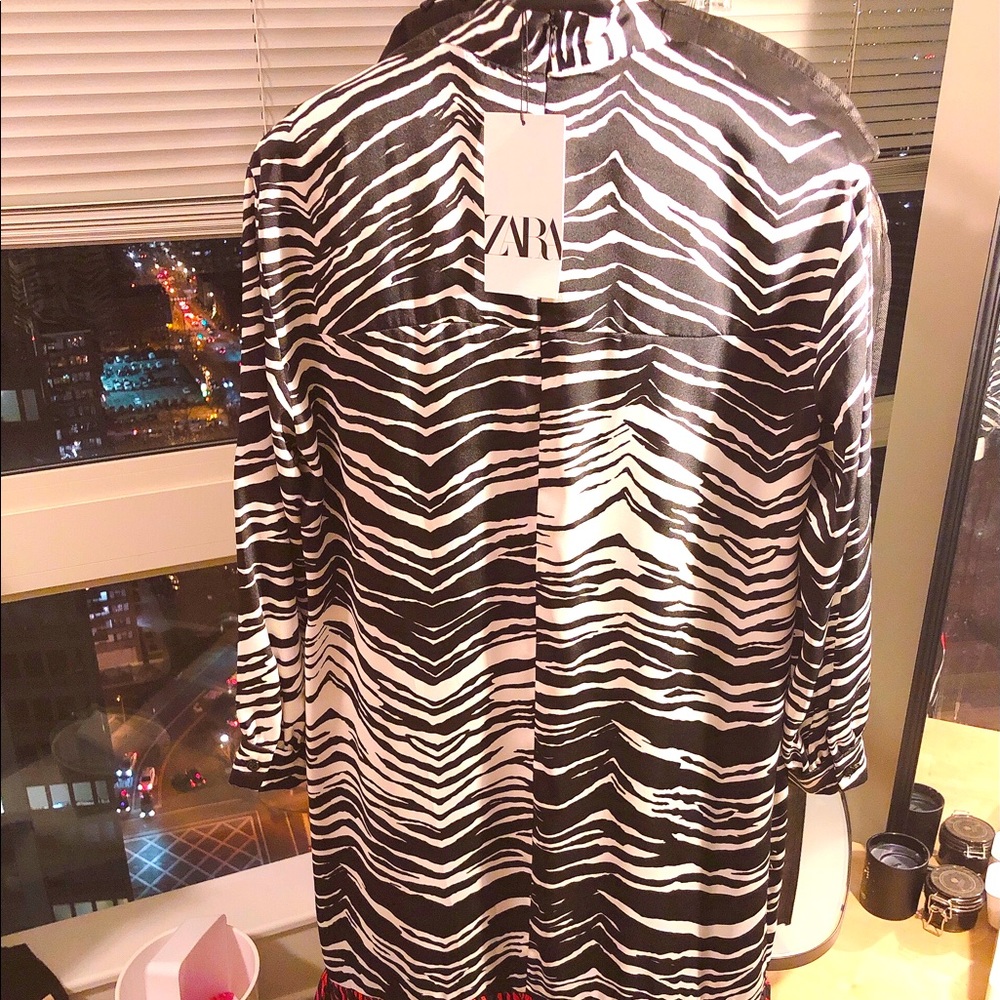 Zara dress